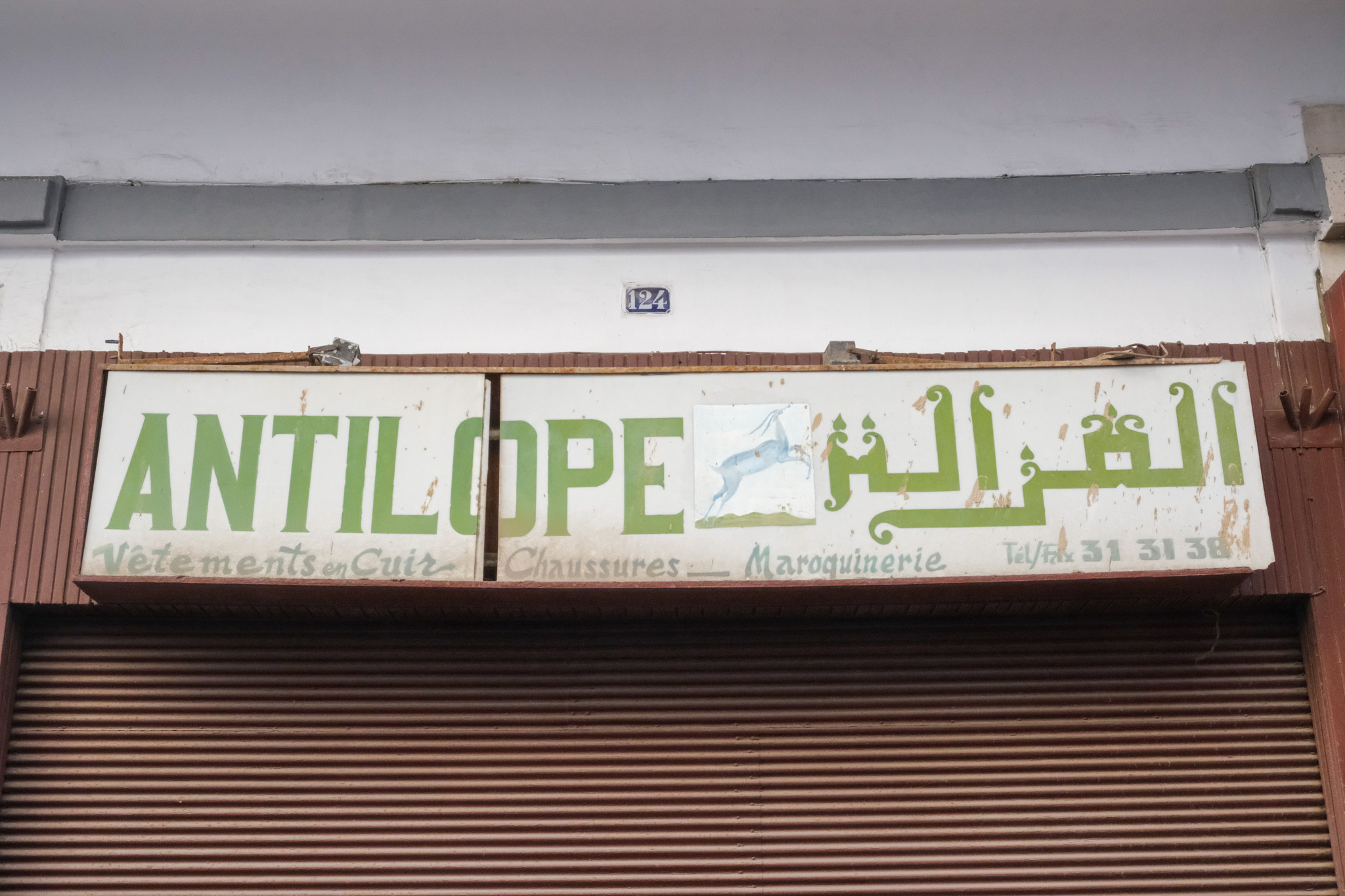 Antilope