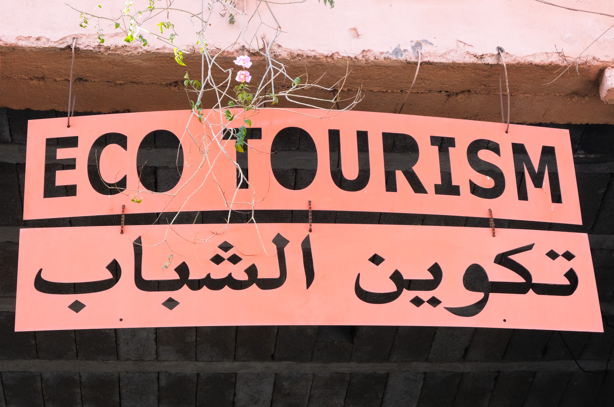 Eco Tourism