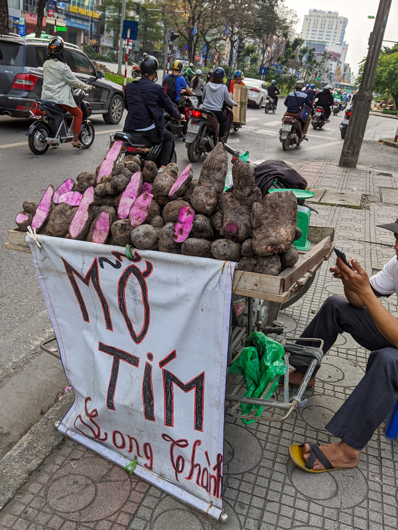 Mỡ Tím