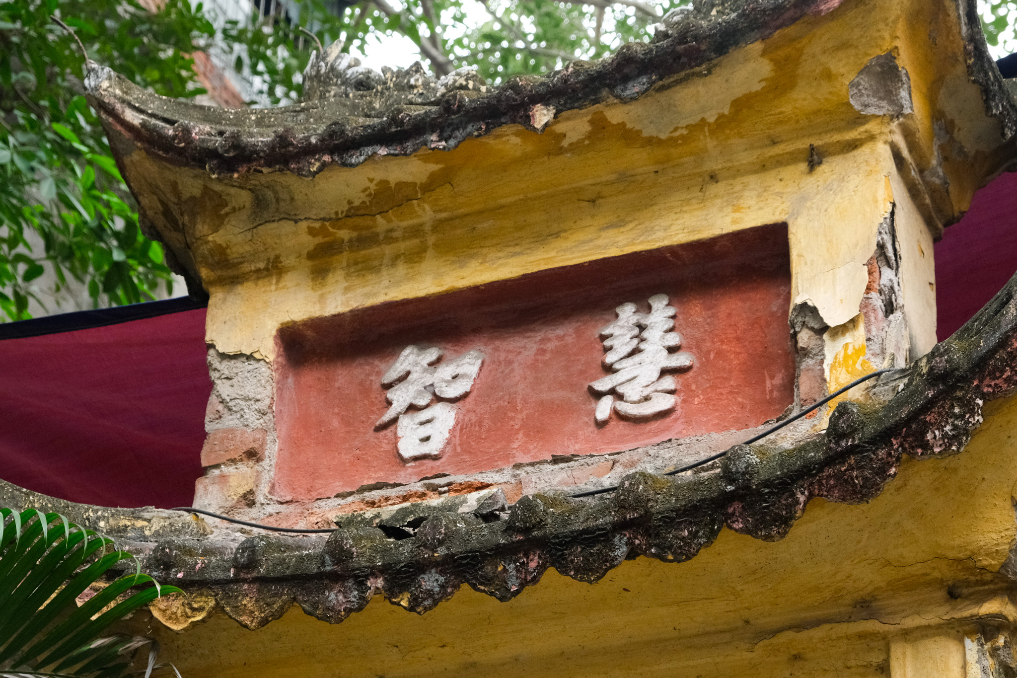 Trí Tuệ