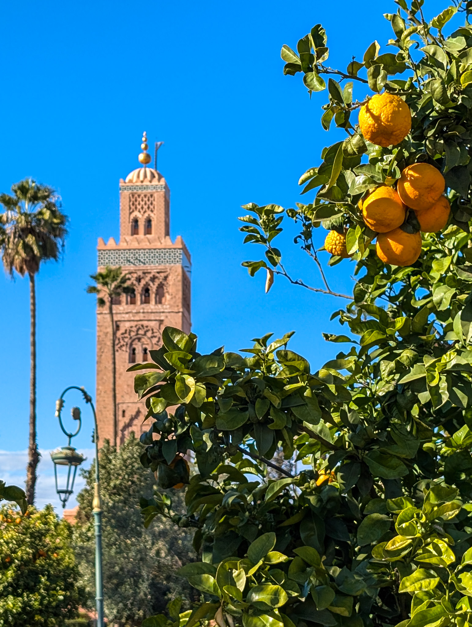 Oranges and a minaret in Morocco
