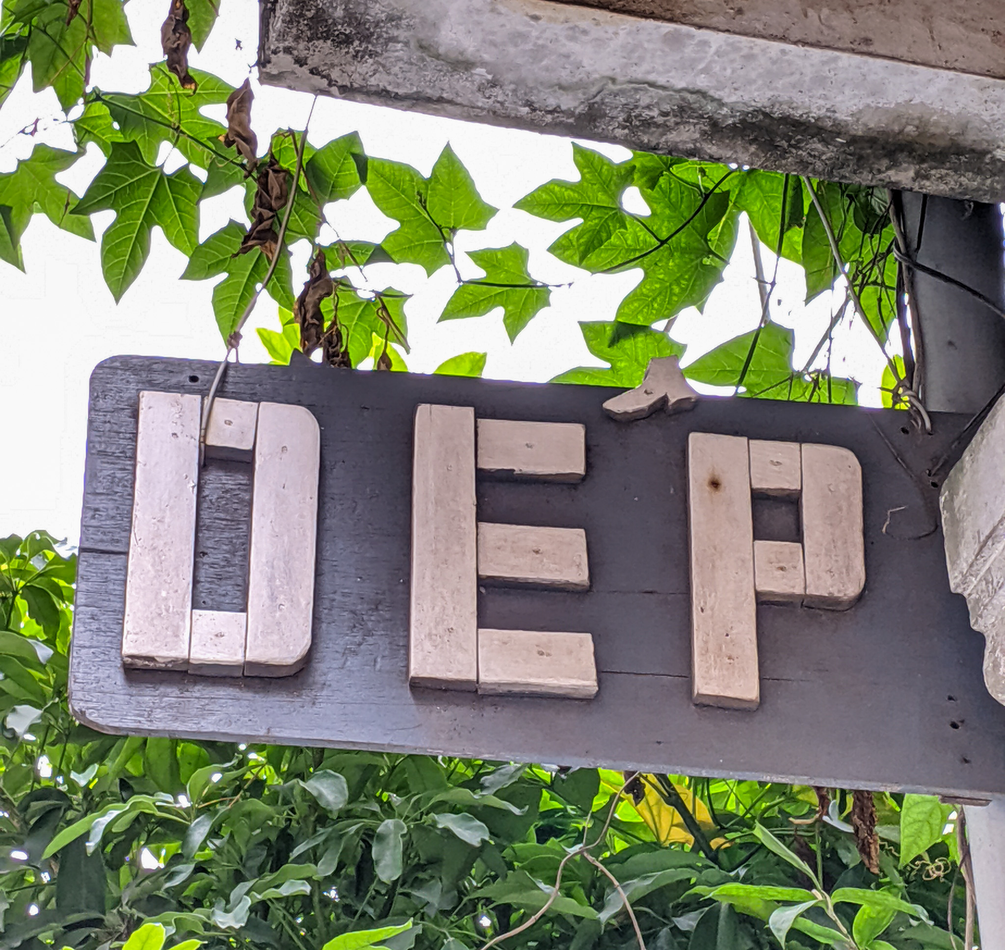 Dép